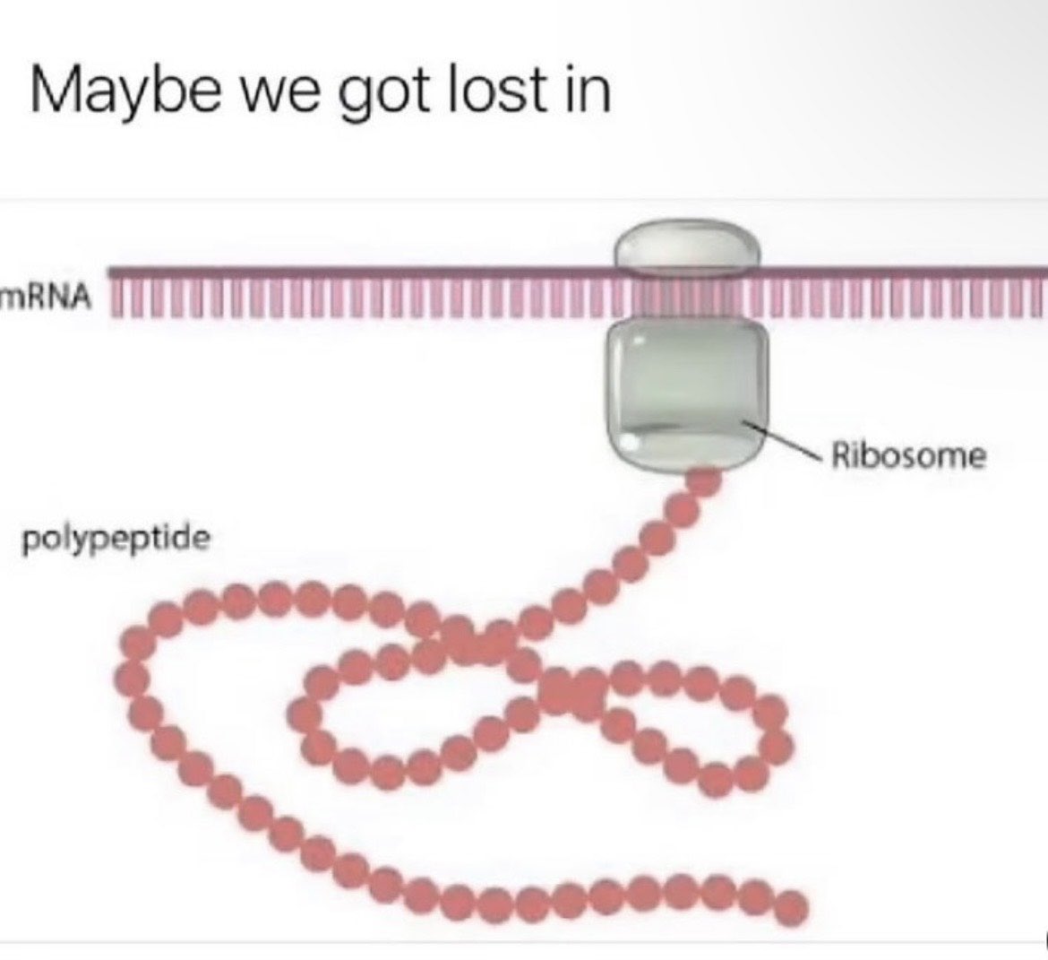 laurenvscience's tweet photo. My two favorite things Taylor Swift &amp; Biology 🤩 thanks to one of my students for sharing with me! #centraldogma #scienceducation #TSwift @FHSBioVinson https://t.co/mp9WDfla98