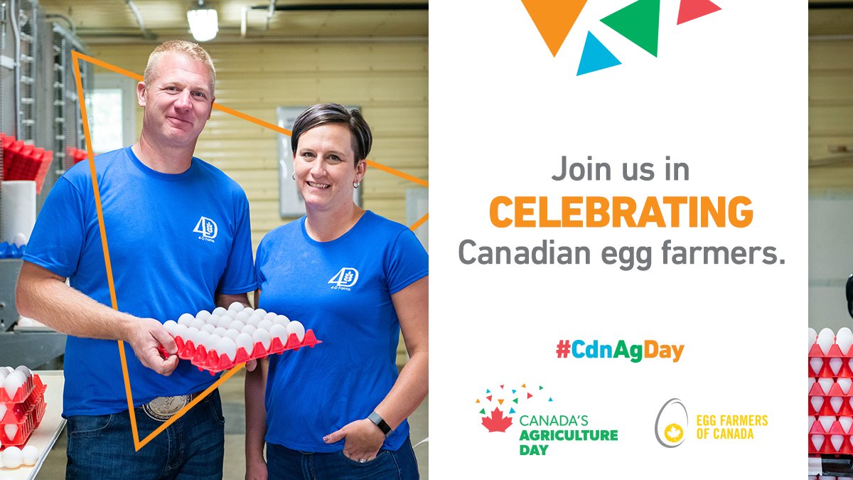 Egg Farmers tweet media