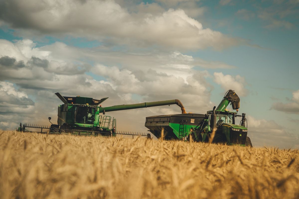 LindgrenSeeds's tweet photo. Happy #CDNAgDay https://t.co/oRgNkZhtiG
