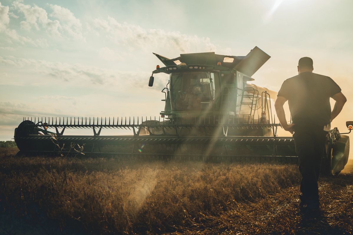 LindgrenSeeds's tweet photo. Happy #CDNAgDay https://t.co/oRgNkZhtiG