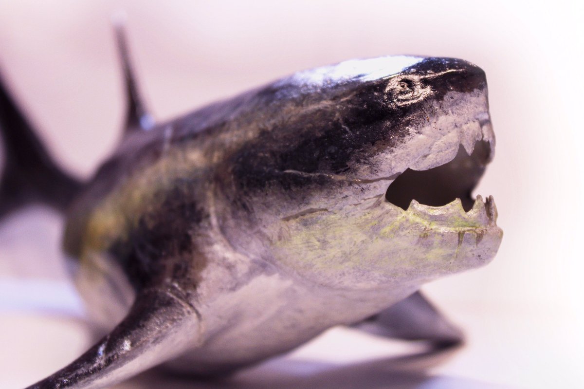 Prehistorica_CM's tweet photo. A 30cm long, hand-painted Dunkleosteus terrelli model printed on an Elegoo Mars 3D printer. https://t.co/3qW2p03k7m