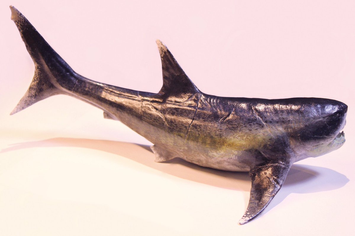 Prehistorica_CM's tweet photo. A 30cm long, hand-painted Dunkleosteus terrelli model printed on an Elegoo Mars 3D printer. https://t.co/3qW2p03k7m