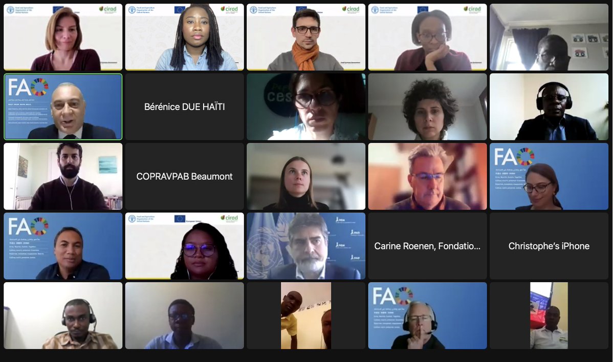 #NOW🚩 J-1 de l'atelier de synthèse de l'évaluation des #systèmes_alimentaires en #Haïti  🇭🇹
🌾🍛
<a href="/FAOHaiti/">FAO Haïti</a> <a href="/jlfernandezfil/">Jose Luis Fernandez</a> Des changements dans la vision politique des systèmes alimentaires haïtiens ont déjà été initiés avec l’adoption du #PSNSSANH en 2021
👉Concrétiser ensemble