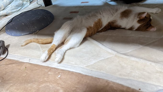 お前はええのう 