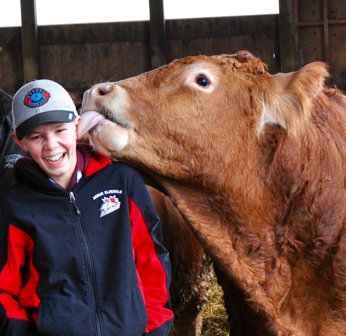 Owen Roberts (@theurbancowboy) on Twitter photo Happy #CdnAgDay to all the producers and their families who open up their farms to tell #ag stories #ontag #cdnag @LoveCDNbeef <a href="/OntarioBeef/">Ontario Beef</a> Happy #CdnAgDay to all the producers and their families who open up their farms to tell #ag stories #ontag #cdnag @LoveCDNbeef <a href="/OntarioBeef/">Ontario Beef</a>