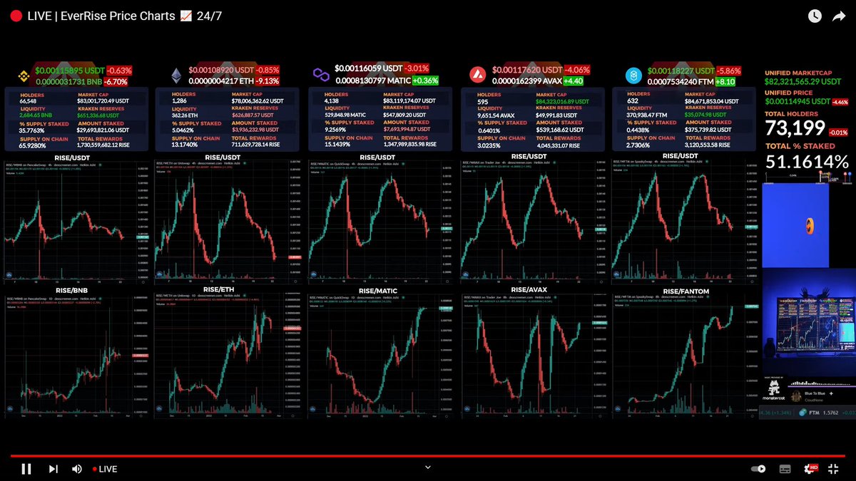 LukeKrueng's tweet image. A beautiful update of #EverChart has gone live‼️ The price against our native coins is now showing! Look at well $RISE is holding against the bloody market 😍

🌐 youtu.be/xqUh6Rla1Xw

All credits to @EverRiseJason &amp;amp; Ben ⚡️ Killing it as always!

#EverRise @EverRise #LetUsin