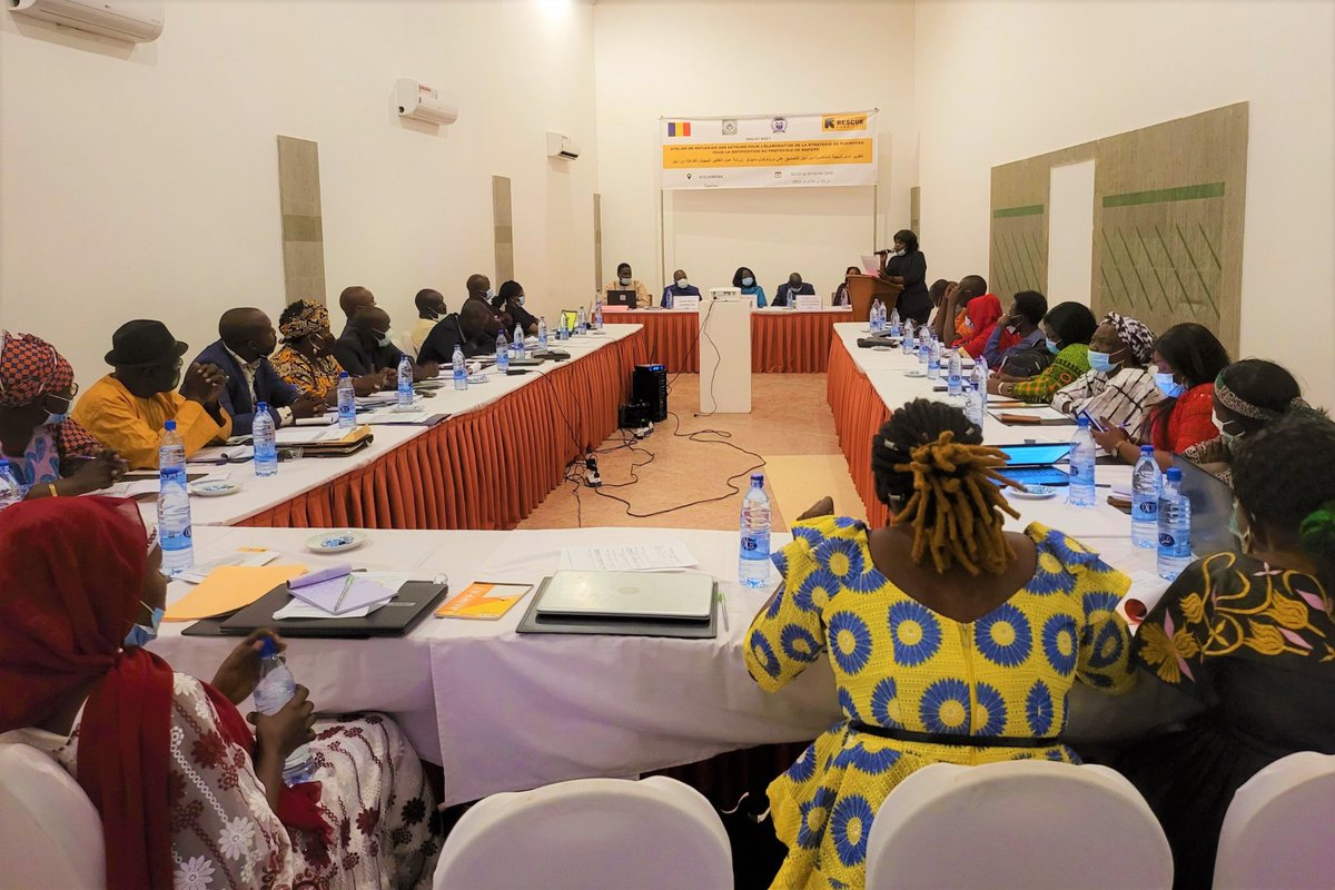 En 2003, le Tchad a signé le protocole de Maputo protégeant les droits fondamentaux des femmes. Pour qu'il soit enfin ratifié, le ministère de la femme, de la santé, la société civile et l'organisation tchadienne OTOBPFE s'allient à #IRCChad pour un plaidoyer commun.♀️
<a href="/RESCUEorg/">IRC - International Rescue Committee</a>