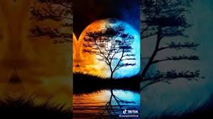 AlexaneHad's tweet image. 