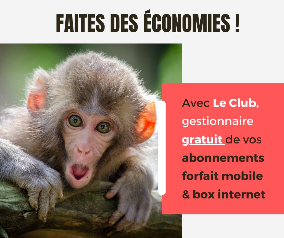 ⚡ Envie d'être alerté avant que votre forfait mobile et internet augmente ? Rejoignez Le Club✨inscription gratuite en un clic juste ici 👉 edcom.fr/club/
#comparateur #forfait #mobile #internet