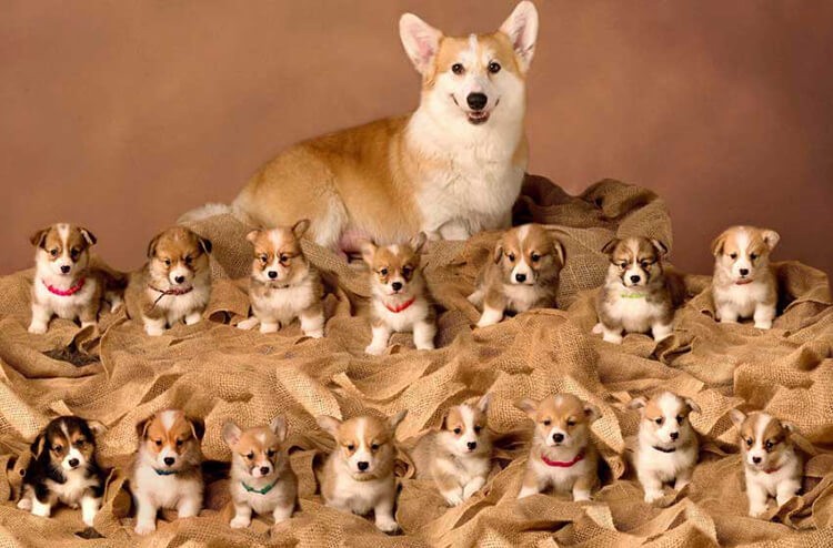 AlexaneHad's tweet image. 