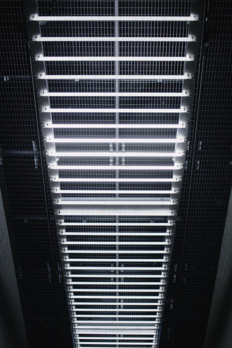 ‘Lichtwelle’, 2001, at <a href="/KunsthallePraha/">Kunsthalle Praha</a> 2022 (photo: Vojtěch_Veškrna). On view from today in ‘Kinetismus: 100 Years of Electricity in Art’ at Kunsthalle Praha in Prague.