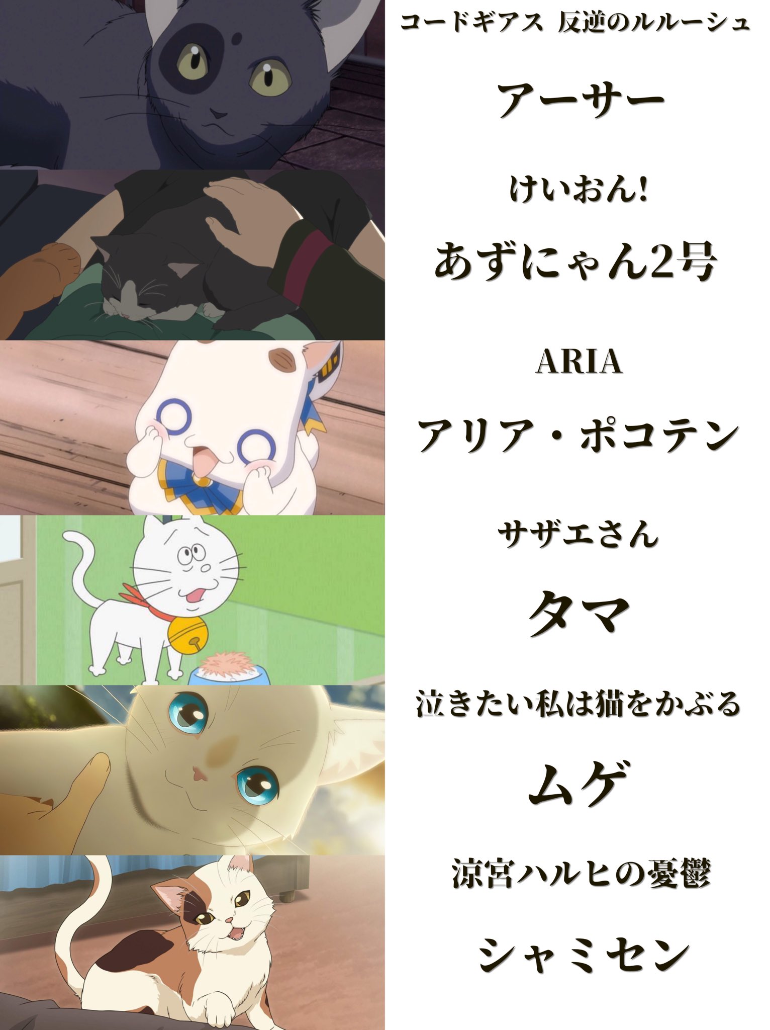 クルセイド コードギアス 猫を捕まえに プロモ シャーリー クルセイド コードギアス 猫を捕まえに プロモ シャーリー