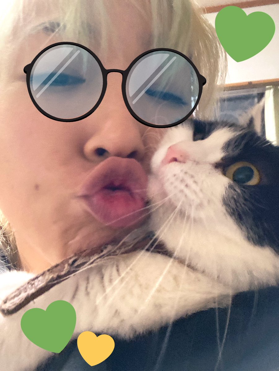 ajs_msk's tweet image. 🐾間に合った💚💚

#2022年2月22日
#猫の日