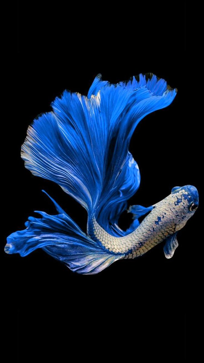 #NaturePhotography #NatureBeauty 🤍💙🤍