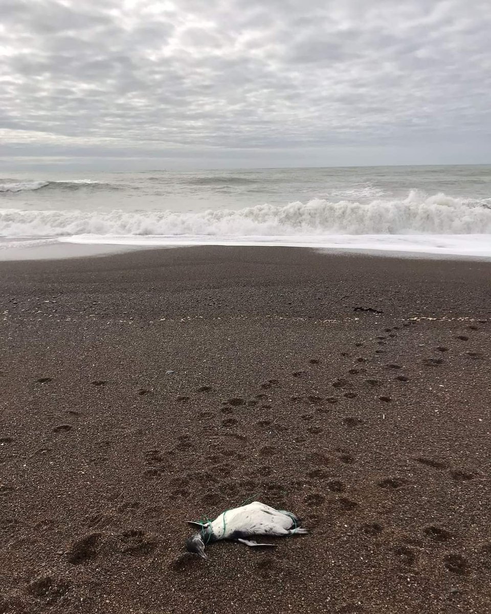 PlayaUnionRW tweet picture