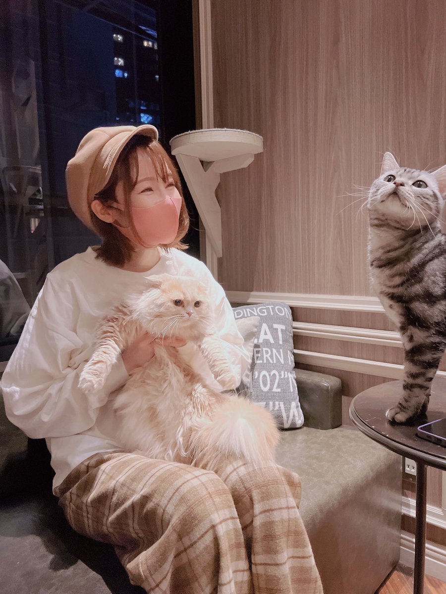 sakumamio's tweet image. くまくまで #猫の日 満喫してきた。笑
癒されたぁぁぁ〜(*´꒳`*)♡

#2022年2月22日
#スーパーねこの日