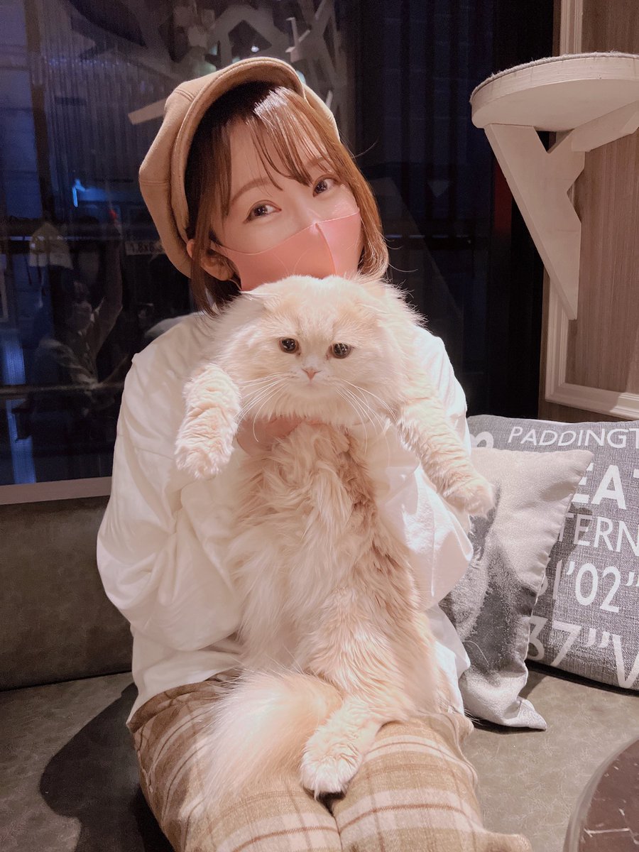 sakumamio's tweet image. くまくまで #猫の日 満喫してきた。笑
癒されたぁぁぁ〜(*´꒳`*)♡

#2022年2月22日
#スーパーねこの日