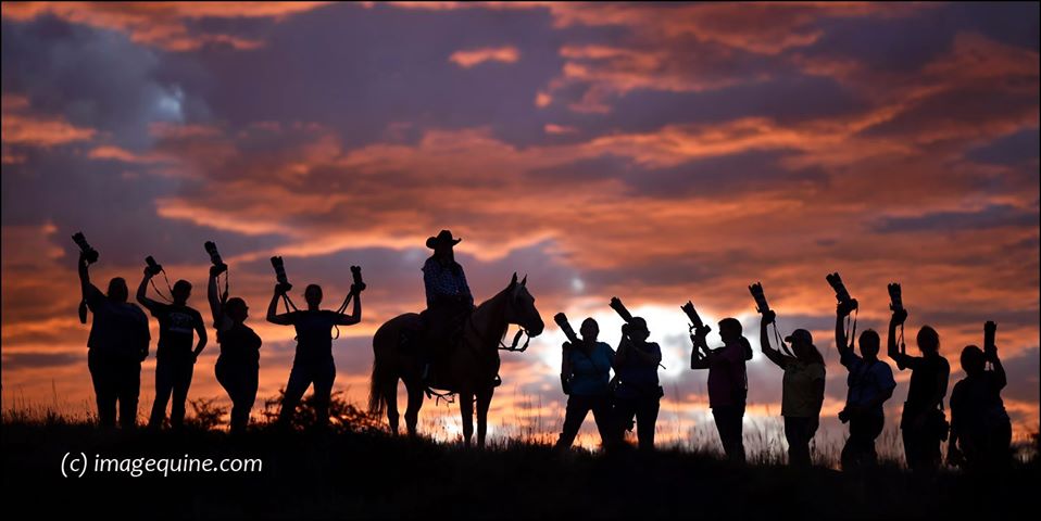 EPNet's tweet image. Check out our brand new Workshop Listing Page with upcoming workshops and tours around the country! 
---&amp;gt;&amp;gt;&amp;gt;&amp;gt; equinephotographers.org/workshops2
Contact us if you would like to have your event listed.