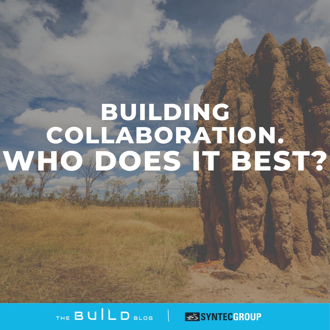 syntecgroup's tweet photo. "By definition, building is a collaborative enterprise. The successful completion of a construction project requires that the right people with the right tools, materials and information are in the right place at the right time."​

https://t.co/JYEakYI2kZ https://t.co/2BJsvHQ7Ze