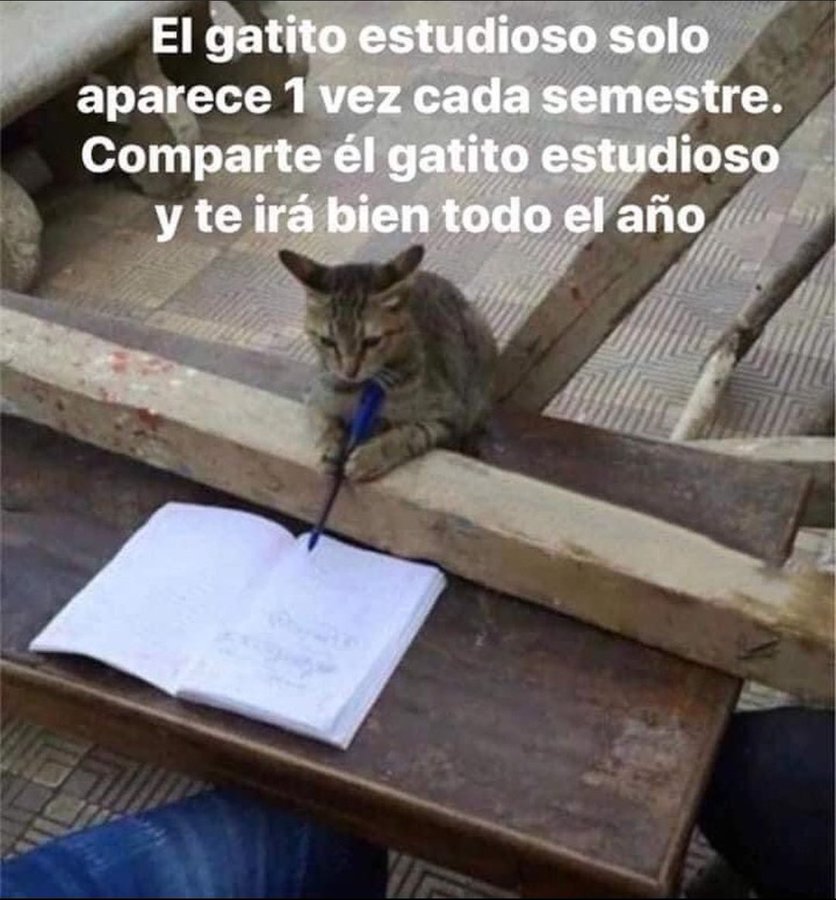 Ilustraciones (@ilustracionxs) on Twitter photo 