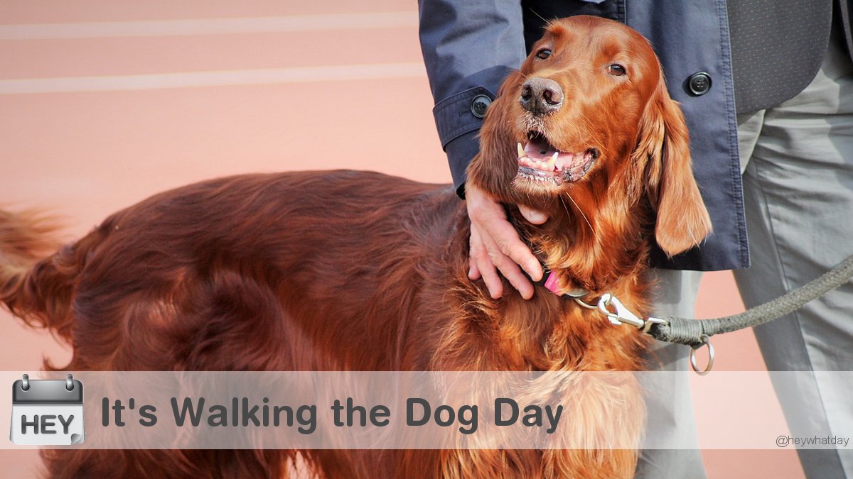 It's Walking the Dog Day! 
#WalkingTheDogDay #NationalWalkingTheDogDay #WalkTheDogDay