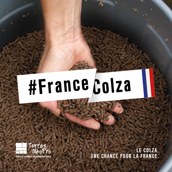 Rappelons que le #colza, c'est 60% de tourteaux riches en protéines pour l'alimentation animale
➡️ 1 ht. de colza permet de produire environ 1500 litres d’huile et 1900kg de tourteaux, français et garanti
#sansOGM
#FranceColza