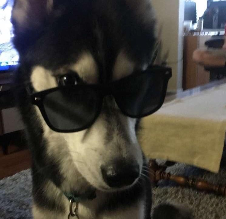 Duša blesava 🖤