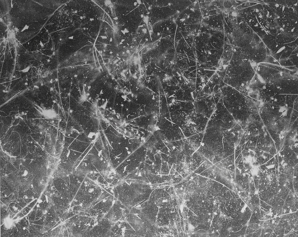 Yuichiro Kikuma, Traces of the Summer no.6, 2021 Amerikan bezi üzerine mürekkep / Ink on calico
168 x 203 cm

#painting 
#abstractart
#art
#Artsy

artsy.net/artwork/yuichi…