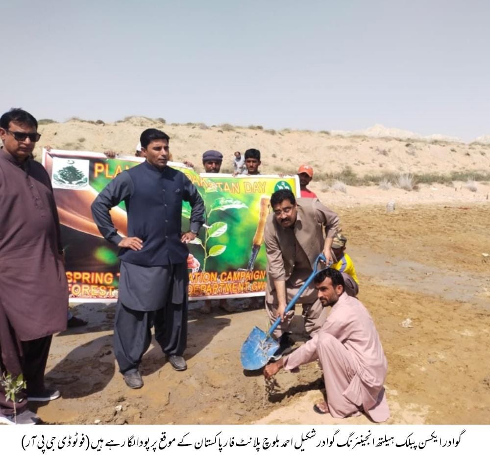 گوادر: ایکسین پبلک ہیلتھ انجینئرنگ ڈپارٹمنٹ گوادر شکیل احمد بلوچ پلانٹ فار پاکستان کے موقع پر  پودا لگا رہے ہیں۔
اس موقع پر ڈپٹی کمشنر گوادر جمیل احمد بلوچ اور دیگر بھی موجود ہیں۔