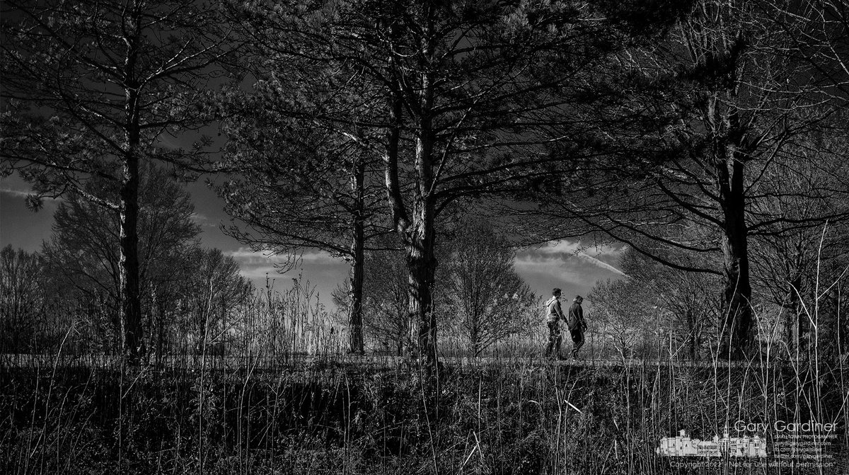 mnmlst_com's tweet photo. Spring-like walk in the park for one day this week.  #bw #mnmlst #minimalism #minimalist #minimal #minimalistic #minimalistics #minimalove #minimalobsession #photooftheday #lessismore #simpleandpure #negativespace #blackandwhite #bw_lover #monochrome #bwoftheday #byn #bandw #noir https://t.co/BHidFkzaWJ