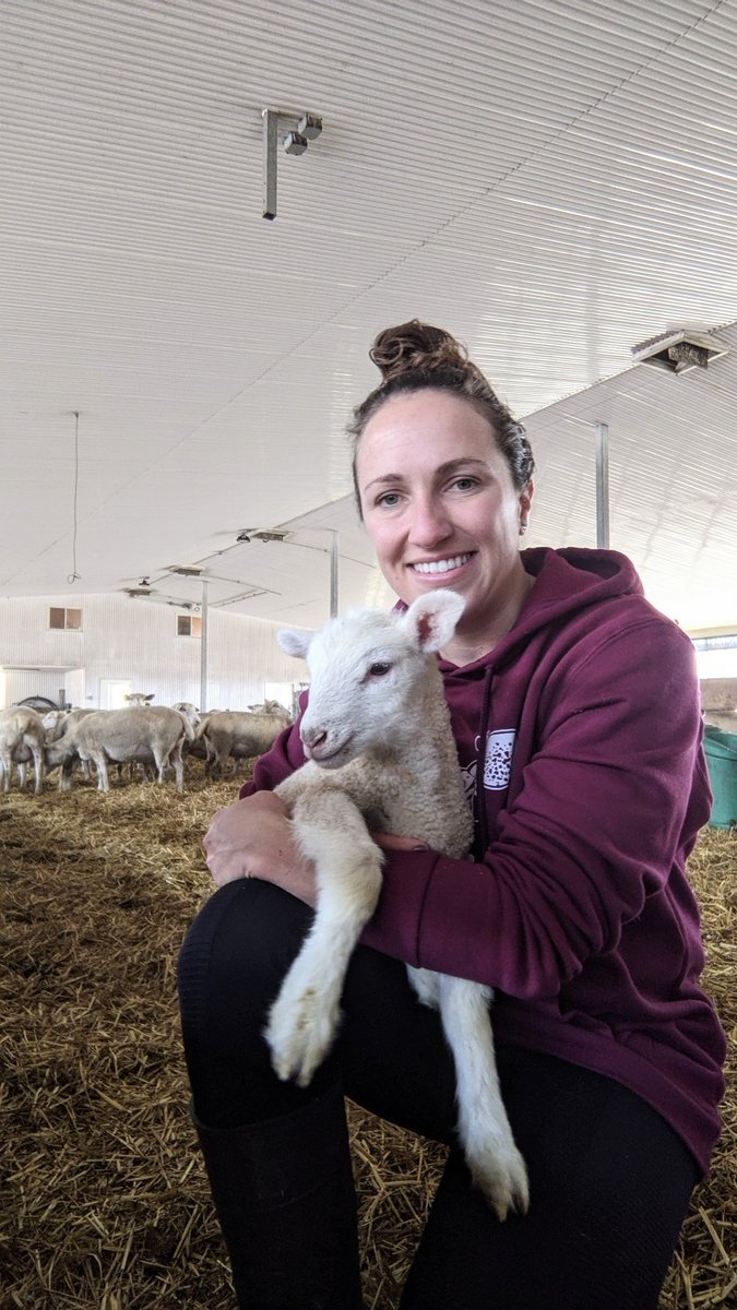 circlerlamb's tweet photo. Happy #CdnAgDay!!! Here's your yearly reminder that it's not just food we produce in Canada ;) Amazing fibre and textiles are also grown right in your backyard #canadianwool @OntarioSheep @ucfibreshed https://t.co/Ly2nfKdJOY