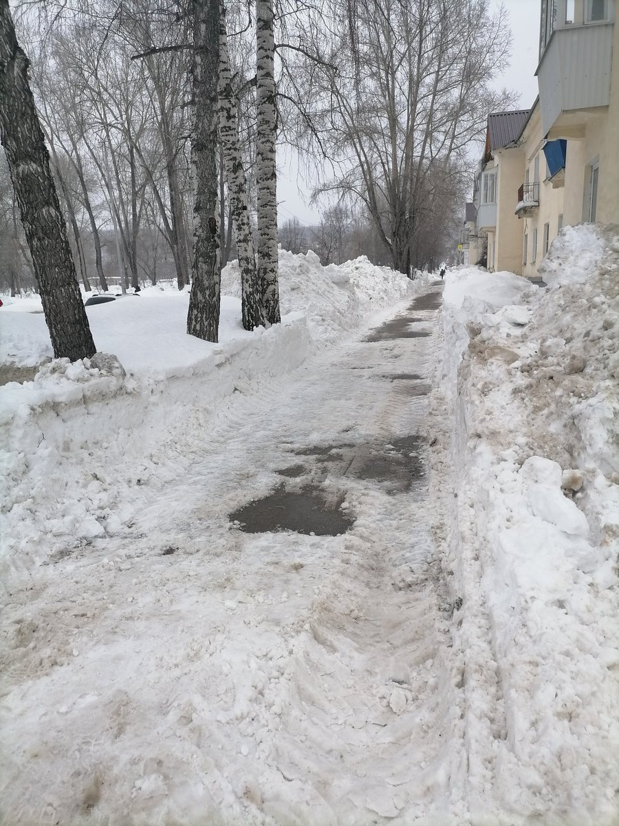 Ольга Кукушкина tweet media