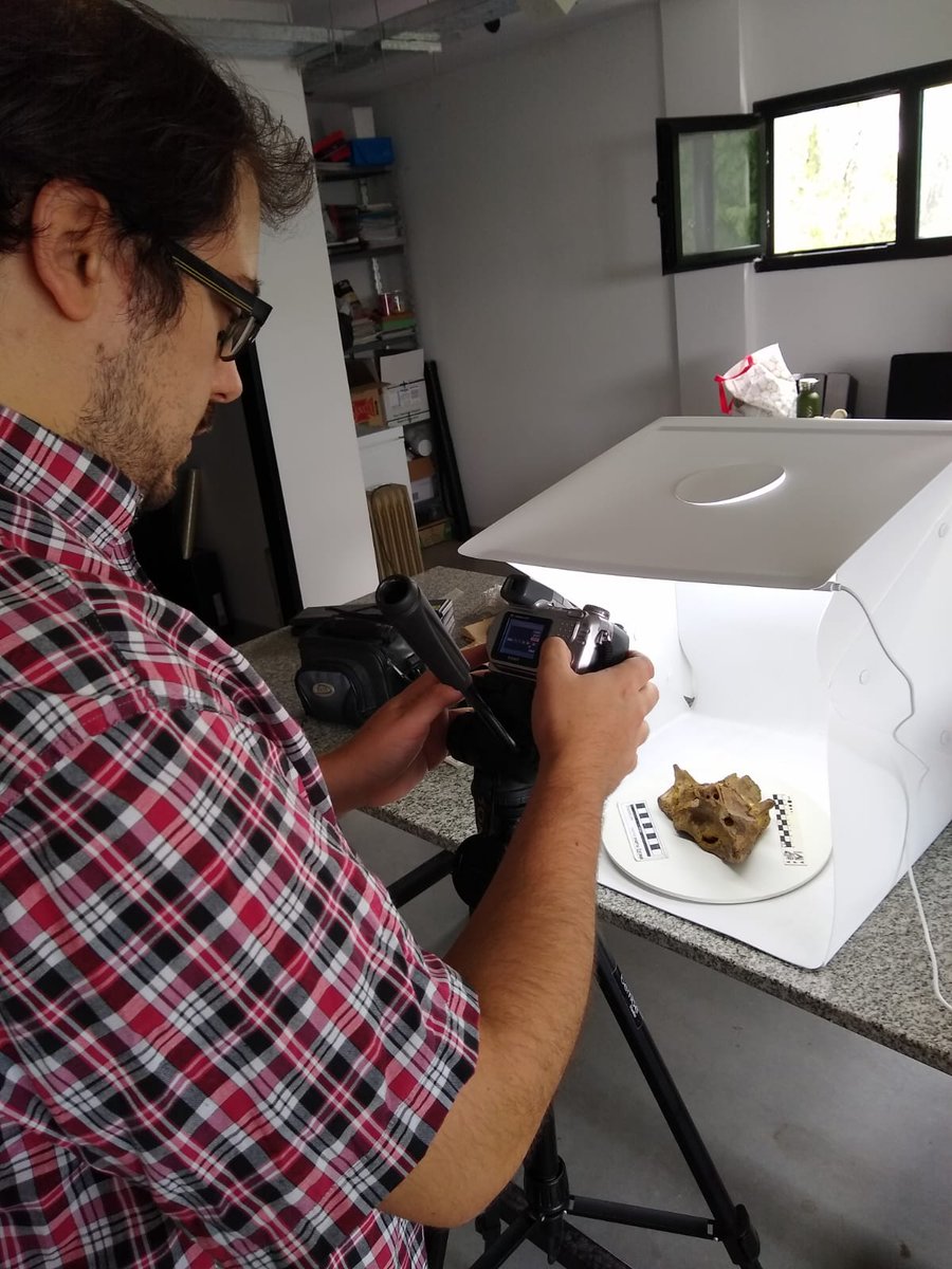 MariaEugeniaP_6's tweet photo. Mateando y fotogrametríando 🐊🤓
con Paula Bona y Martin Ezcurra
@MacnVp
#crocodile #fotogrammetry https://t.co/46b64Zb1BR