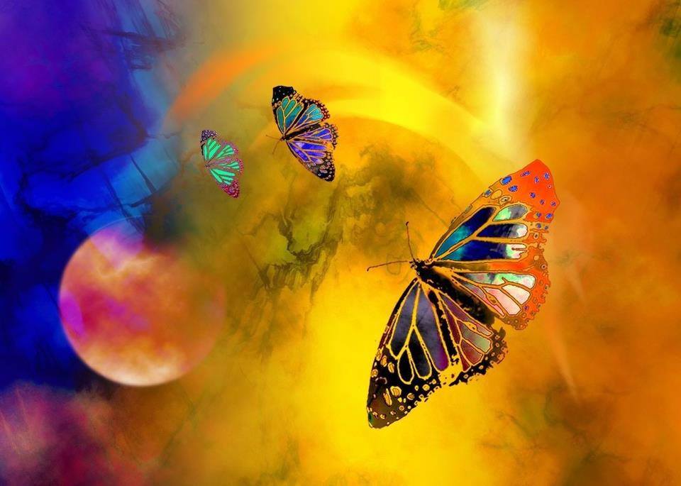 Having a playful attitude (even in your daily responsibilities) aligns you with your very essence - #Joy!

#JoyTrain  #IAMJoy #IAMChoosingLove #IAMLove #IAM #tuesdaymotivations  #dennajshelton