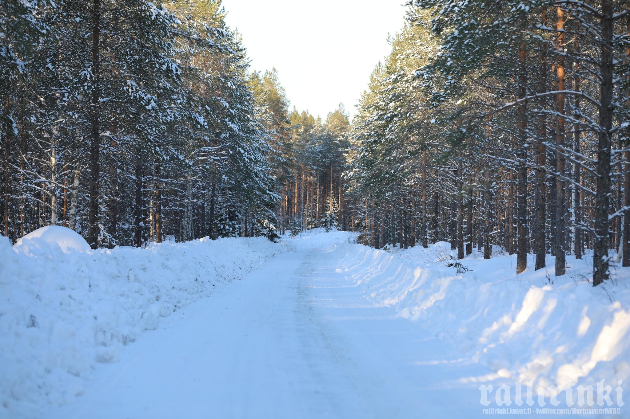 WRC: 69º Rally Sweden [24-27 Febrero] FMNdAmuXsAYIGMx?format=jpg&name=large