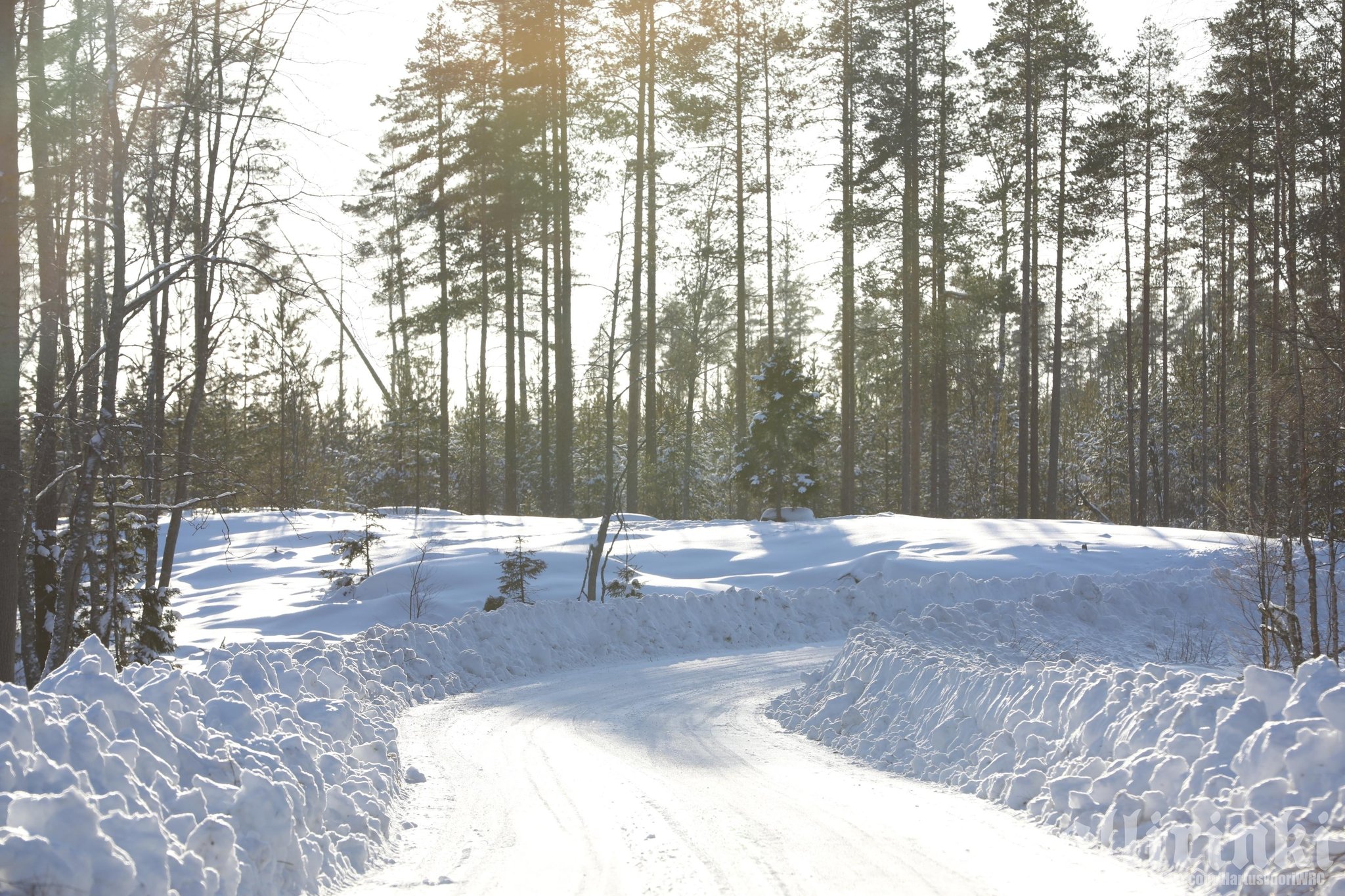 WRC: 69º Rally Sweden [24-27 Febrero] FMNdBzaXwBIdAlm?format=jpg&name=large