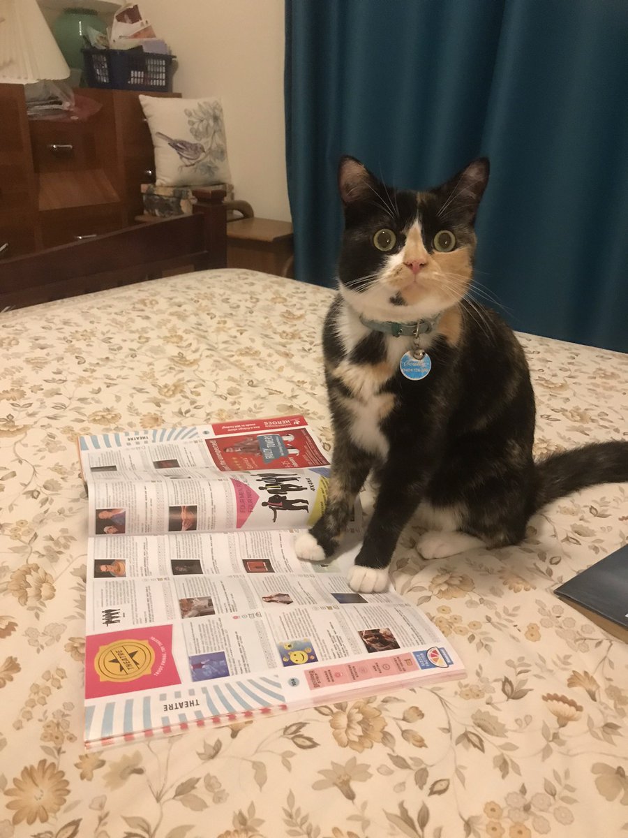 norriei's tweet photo. #ねこの日

💖 https://t.co/1uYTunUj3S