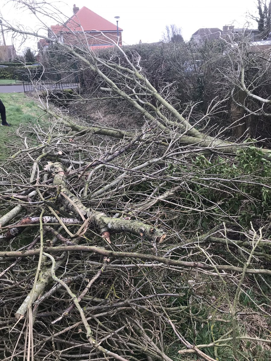 EppingUplandsch's tweet photo. A tree outside Owls’ classroom blew down in Storm Eunice and there were so many sticks lying around. We thought, let’s do some art…#stickwrapping #wandmaking #naturecrafts https://t.co/TiFHgXbCXT