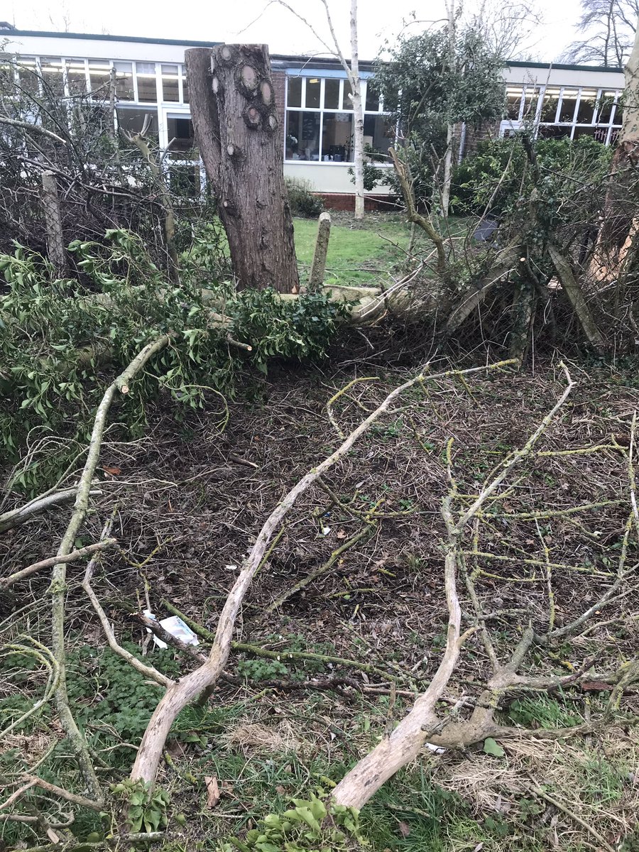 EppingUplandsch's tweet photo. A tree outside Owls’ classroom blew down in Storm Eunice and there were so many sticks lying around. We thought, let’s do some art…#stickwrapping #wandmaking #naturecrafts https://t.co/TiFHgXbCXT