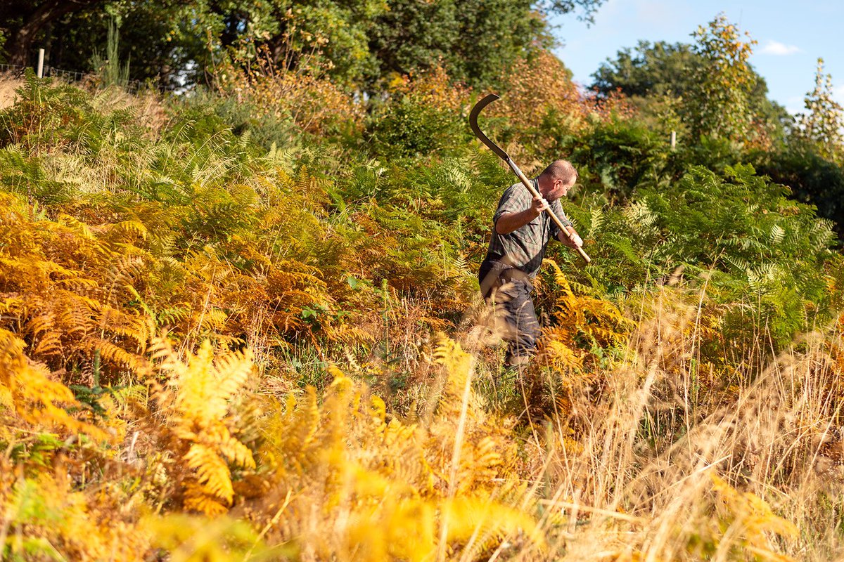 BobbyMcCombie's tweet image. Photographs from a previous documentary project looking into people’s connection with the land. 

#EdNapPhoto #photography #Highlands