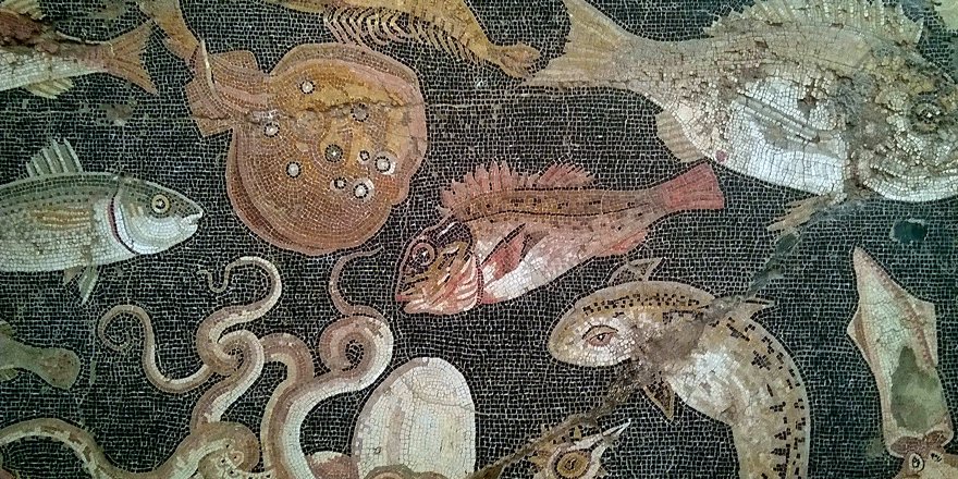 Publi_MNHN's tweet photo. [#Anthropozoologica] The Roman classification and nomenclature of #aquaticanimals: an annotated checklist (with a focus on ethnobiology) ⬇️

🔗 https://t.co/rAf6qR1cob
✒️ Andrea GUASPARRI
#Ethnobiology #fishnames #crustaceans #molluscs #seaturtles #seamammals #seamonsters https://t.co/LThGnhC6ud
