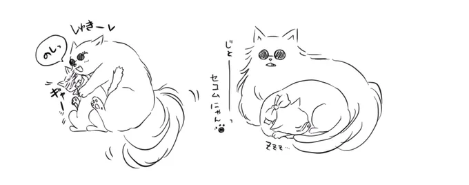 五歌にゃん
おまけ 