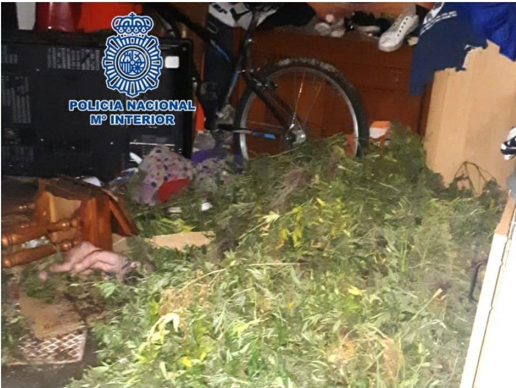 SUPZARAGOZA's tweet photo. 🚨 Tráfico de drogas en #Zaragoza‼️

⛓ 6 jóvenes detenidos cuando fueron sorprendidos en una casa abandonada con varios sacos llenos de #marihuana

🎯 Gran trabajo de prevención  del turno #SAC3 la #BPSC de la @Policianacional de la #JSAragón

#EspecilalidadGAC
#OrgulloSUP https://t.co/CfniLKRDKC