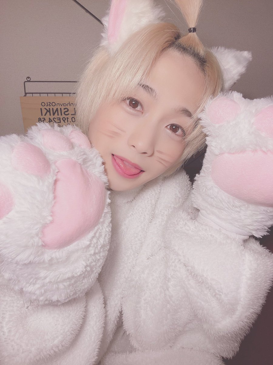 topipipi_kanata's tweet image. #2022年2月22日
#猫の日
#過ぎちゃったけど
#飼ってくれる人いませんか