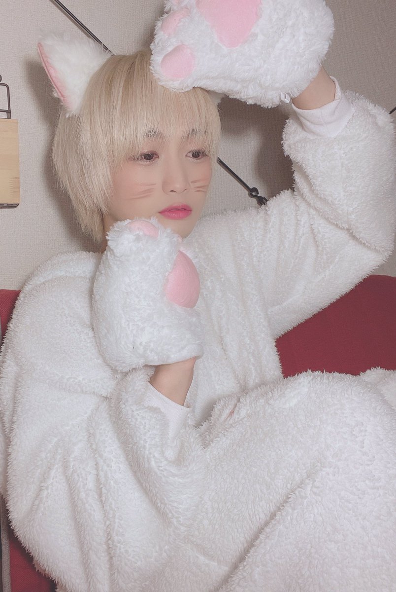 topipipi_kanata's tweet image. #2022年2月22日
#猫の日
#過ぎちゃったけど
#飼ってくれる人いませんか