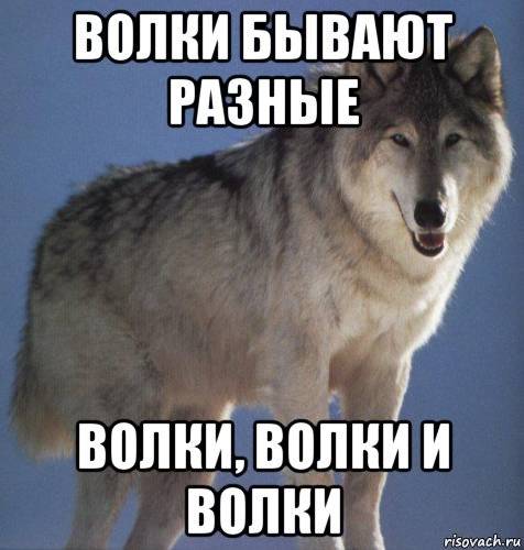 Не лучше него или его. Будьте проще цитаты. Если человек постоянно обманывает. Цитаты про дураков. Не лучше него или его.