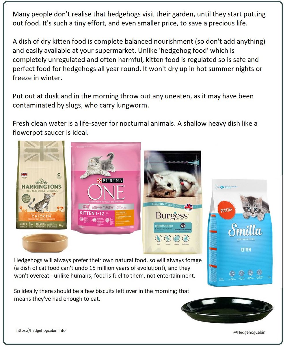 HedgehogCabin's tweet photo. Hedgehogs hibernated early last year and I'm hearing from people all over the country that they've already started rising. 
This is catastrophic! 
It's far too early for there to be any natural food around so they will either starve or succumb to parasites. 
Please provide food. https://t.co/6CSqEKIwxV