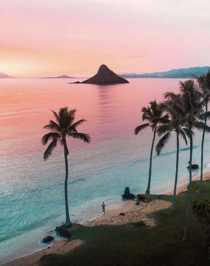 W0rld2026's tweet photo. Hawaii https://t.co/4pUpPw5SFJ