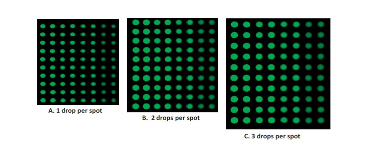 ArrayjetLtd's tweet image. Check out our example of printing fluorescence-labelled #antibodies onto functionalised glass slides to produce high-quality #microarrays: bit.ly/34SdwBv