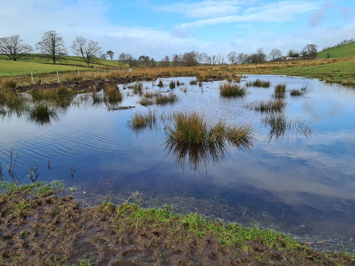 Here's some we finished earlier...love taking Trustees and guests to see projects in action in the eastern part of rhe catchment, doing their job to slow and store water after #StormFranklin.  #fellfootforward